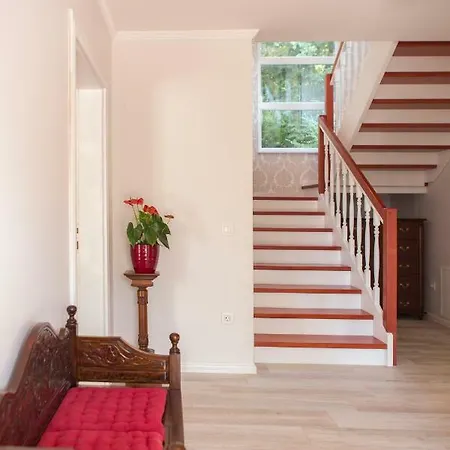 Papillon Villa *